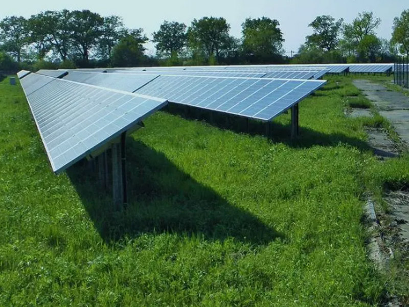 China y los Países Bajos fortalecerán la cooperación en el ámbito de las nuevas energías